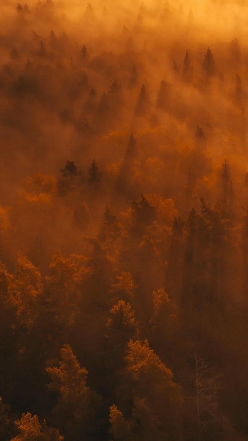 hình nền ảnh mệnh thổ hợp mệnh kim