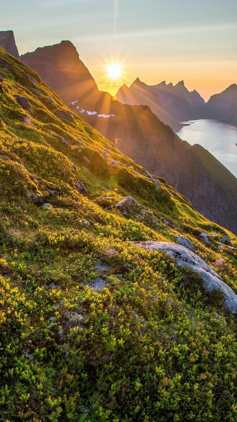 hình nền ảnh mệnh thổ màu cam đất