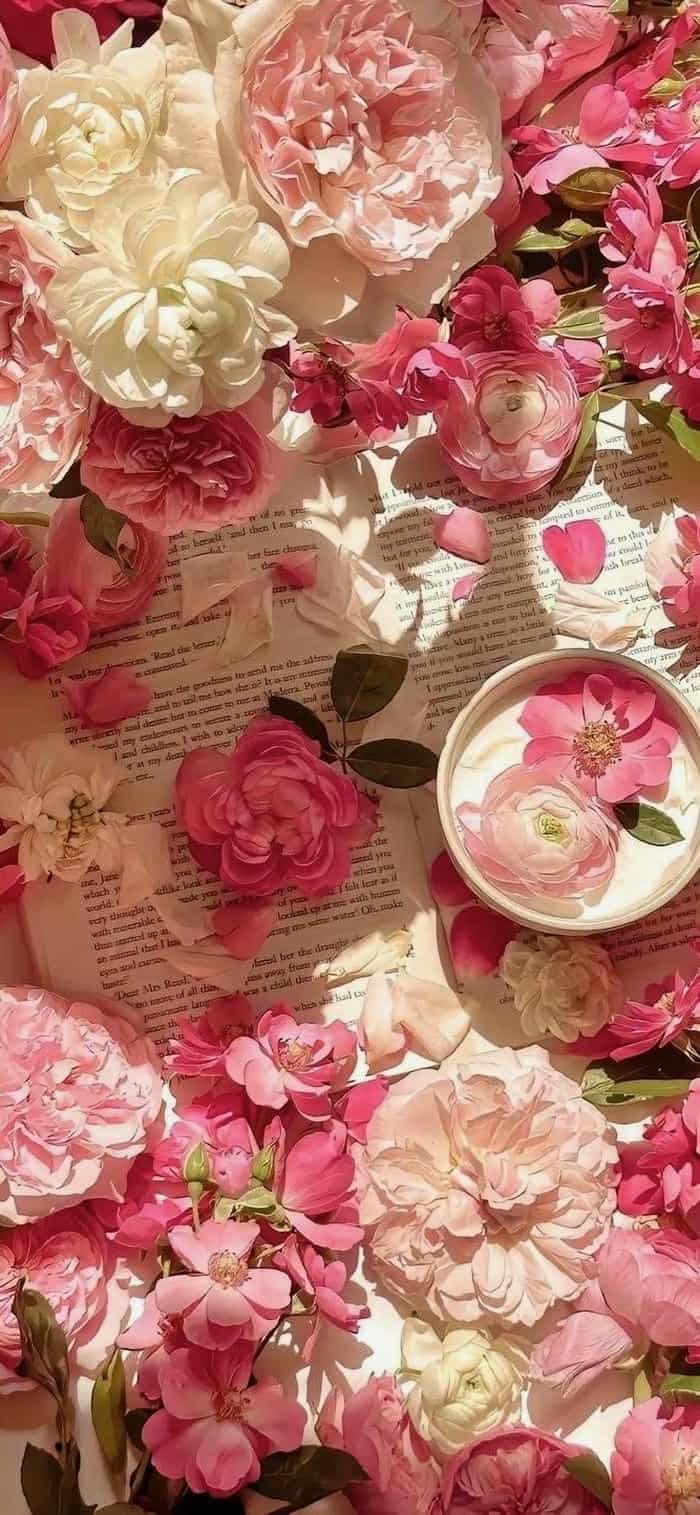 hình nền cánh hoa mẫu đơn