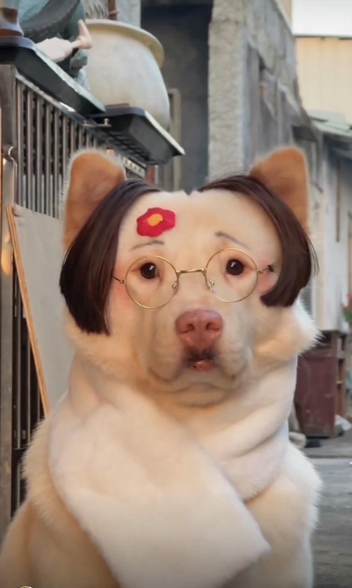 hình nền cho ngơ ngác