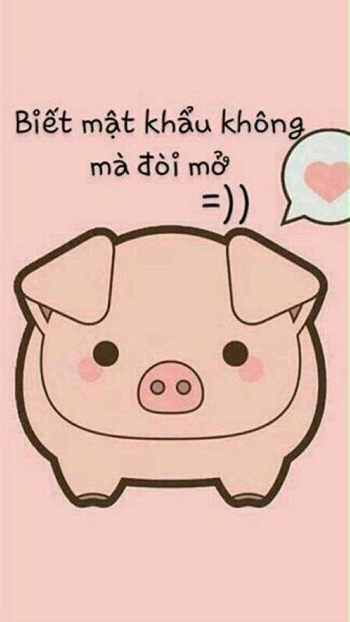 hình nền điện thoại có chữ cực vô tri, hài hước