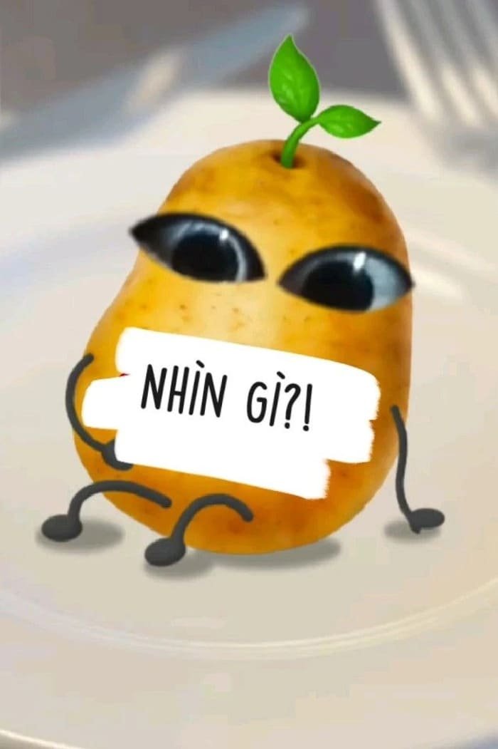 hình nền điện thoại vô tri có chữ và củ khoai tây