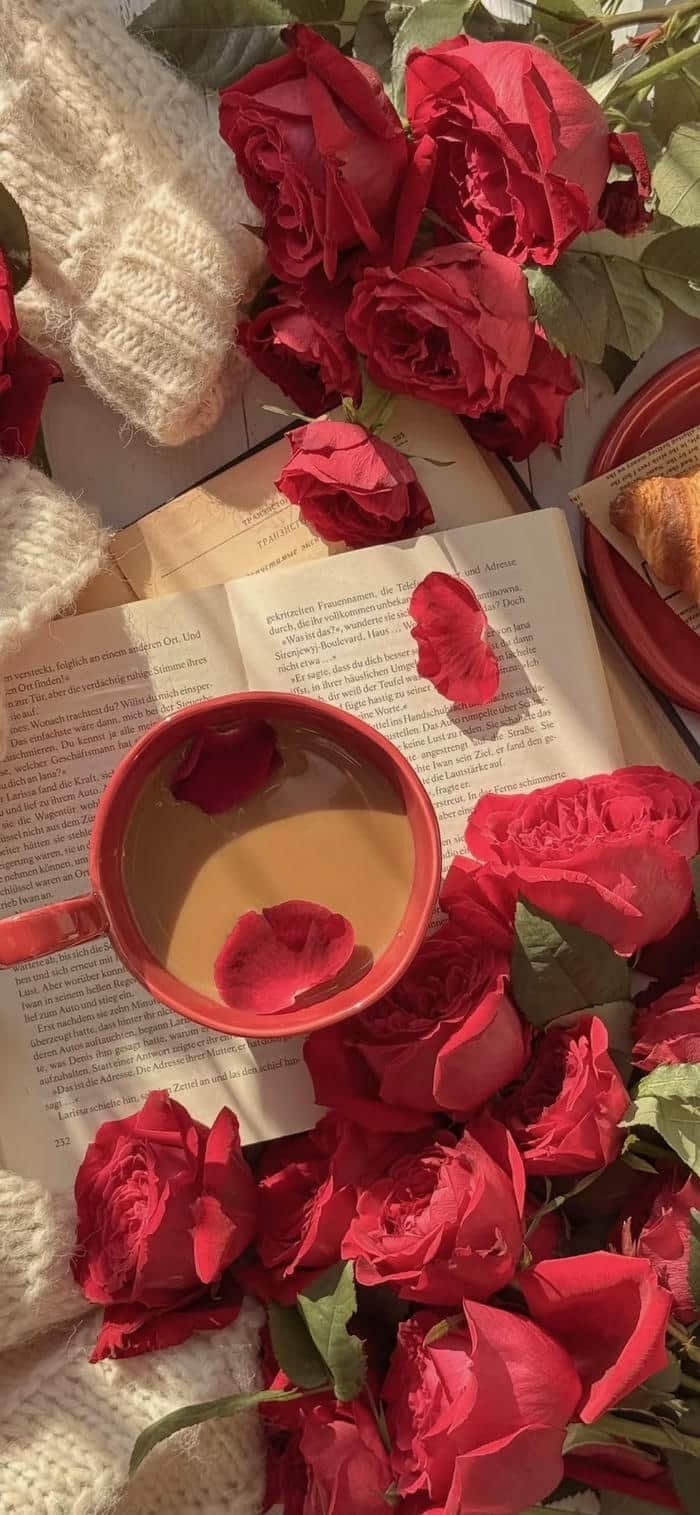 hình nền hoa hồng buổi hoàng hôn