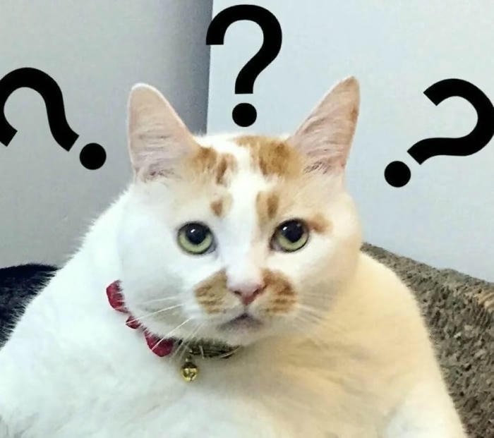 meme dấu hỏi chấm kiểu hài hước khó hiểu