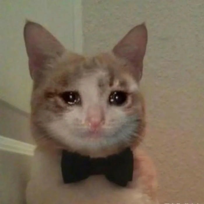 meme đau tim meme hay