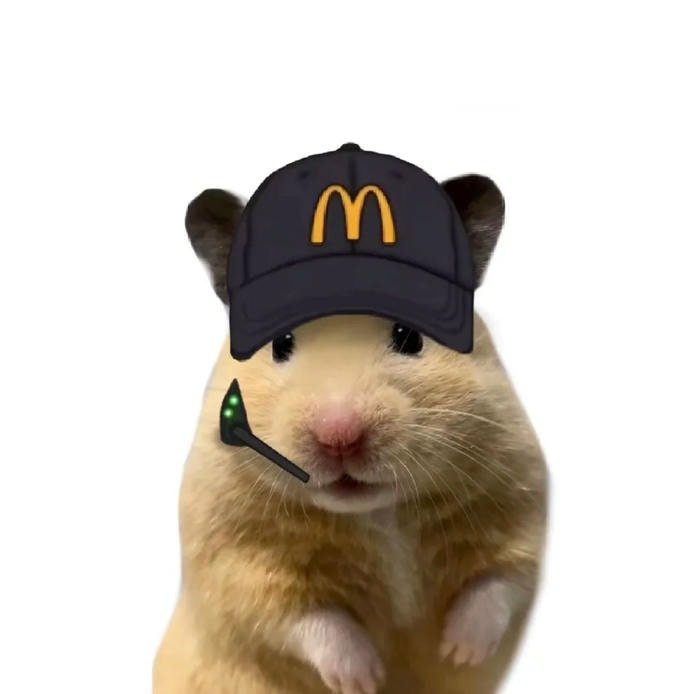 meme hamster nổi bật