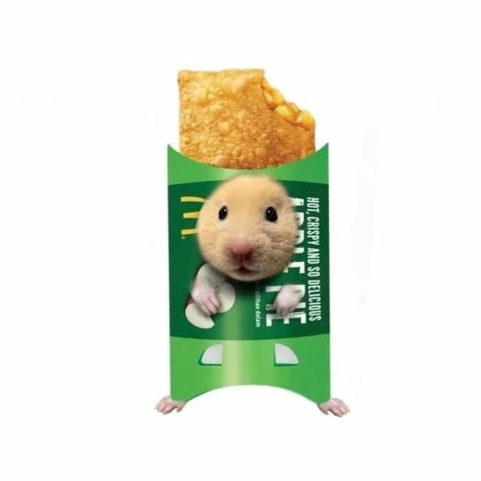 meme hamster vui vẻ