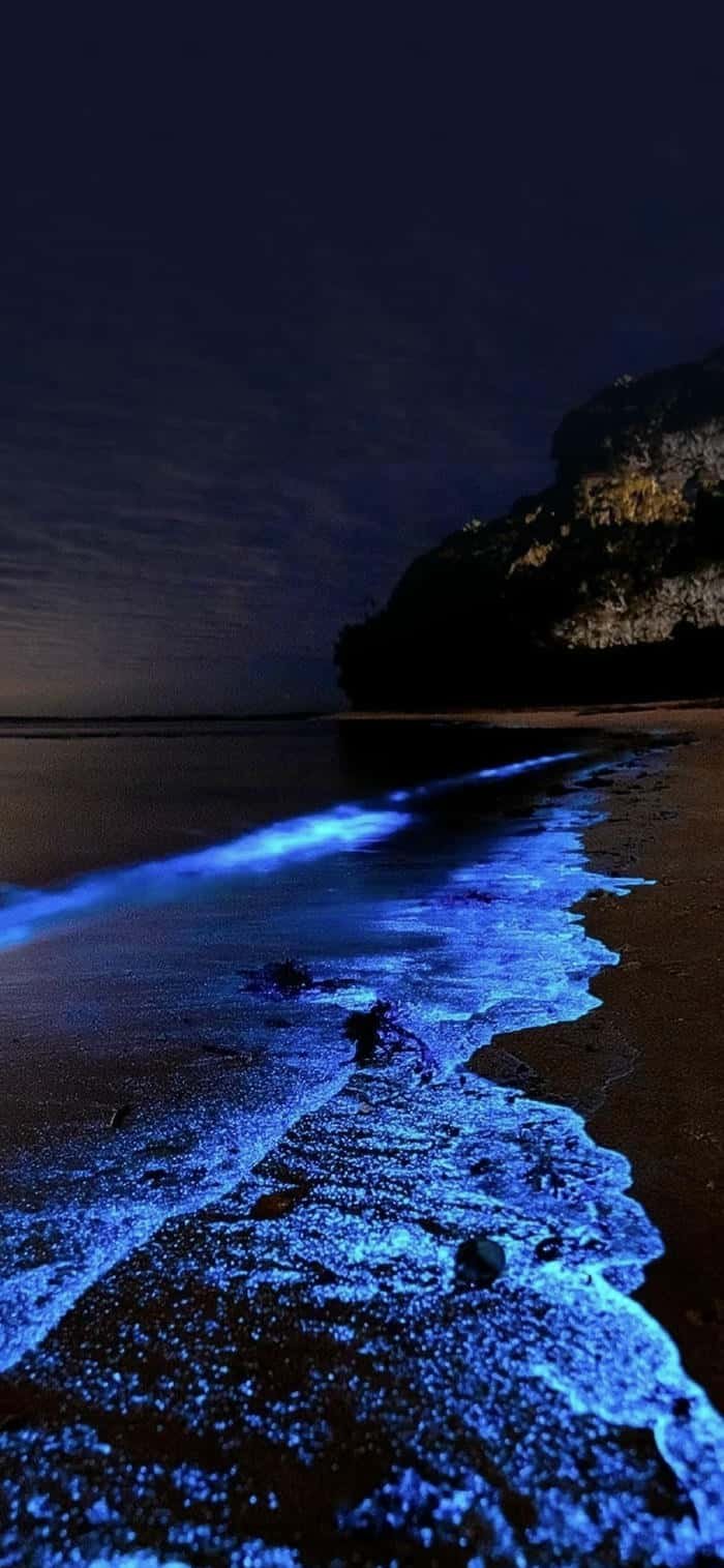 những ảnh nền biển và sóng