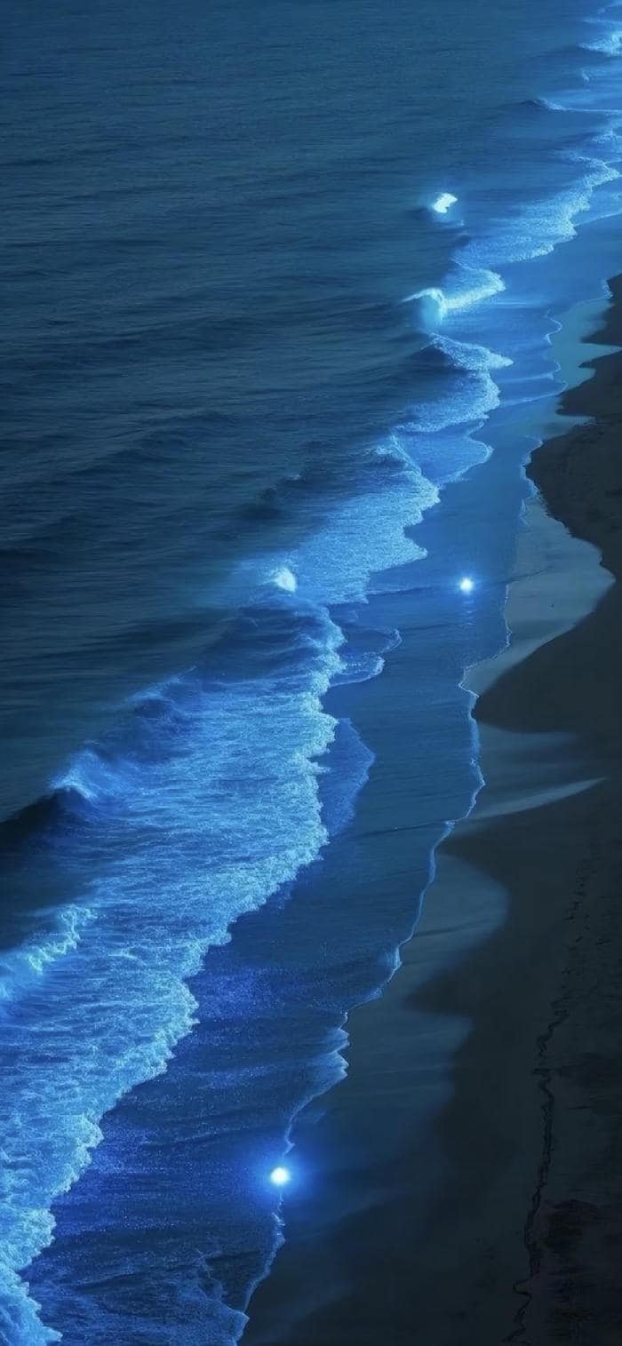 những hình nền biển lãng mạn