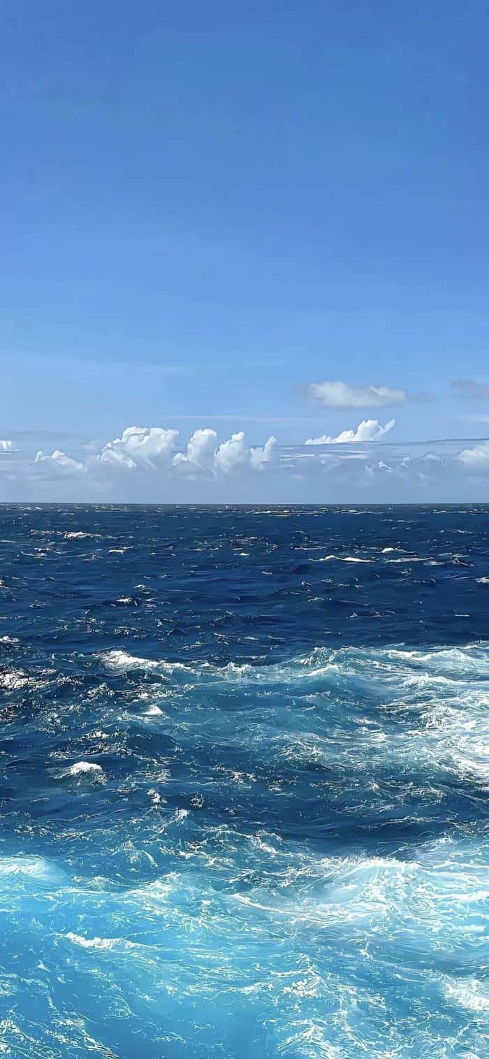 những hình nền biển trời