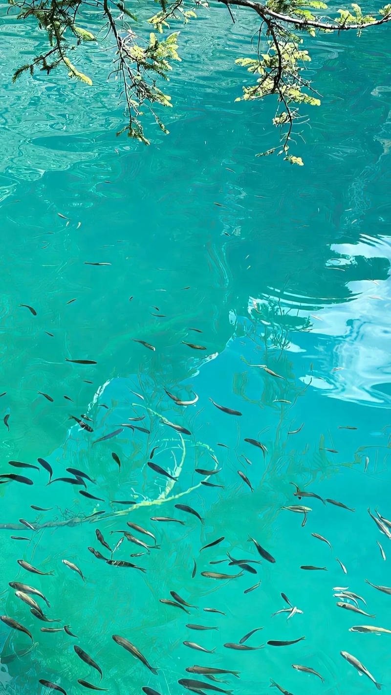 tài lộc hình nền ảnh mệnh thủy bình an thịnh vượng