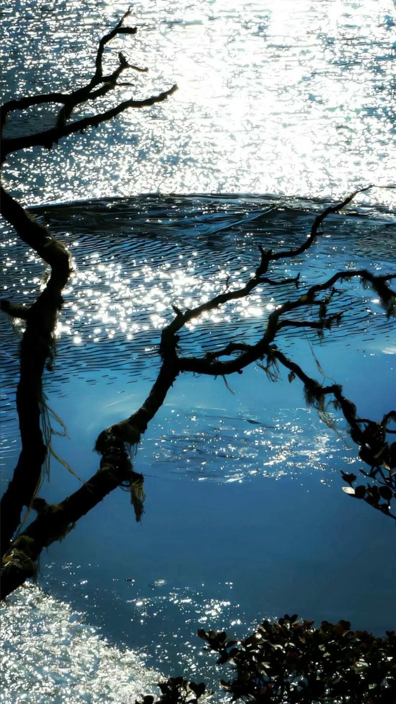 tài lộc hình nền ảnh mệnh thủy đem lại may mắn