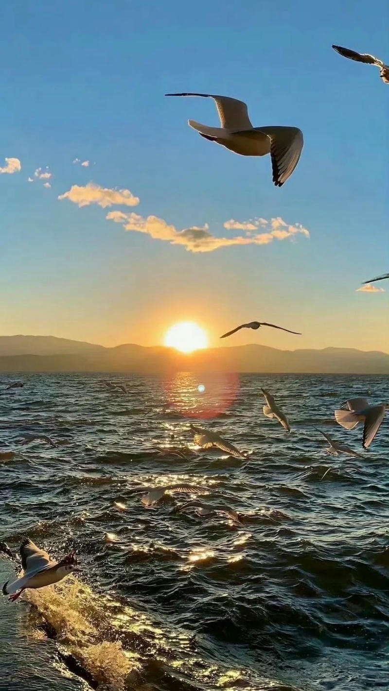 tài lộc hình nền ảnh mệnh thủy hợp mệnh