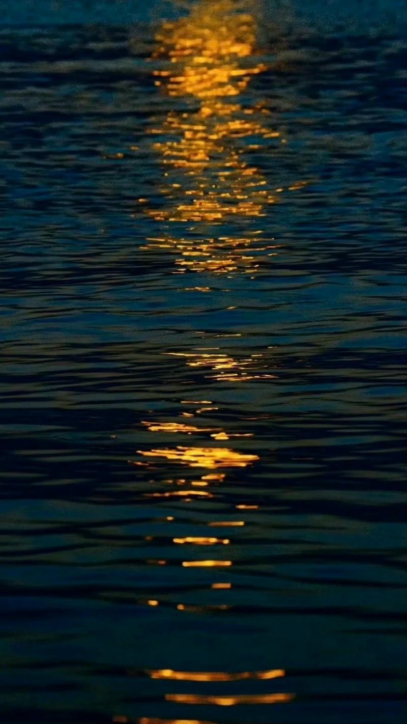 tài lộc hình nền ảnh mệnh thủy phong thủy tốt