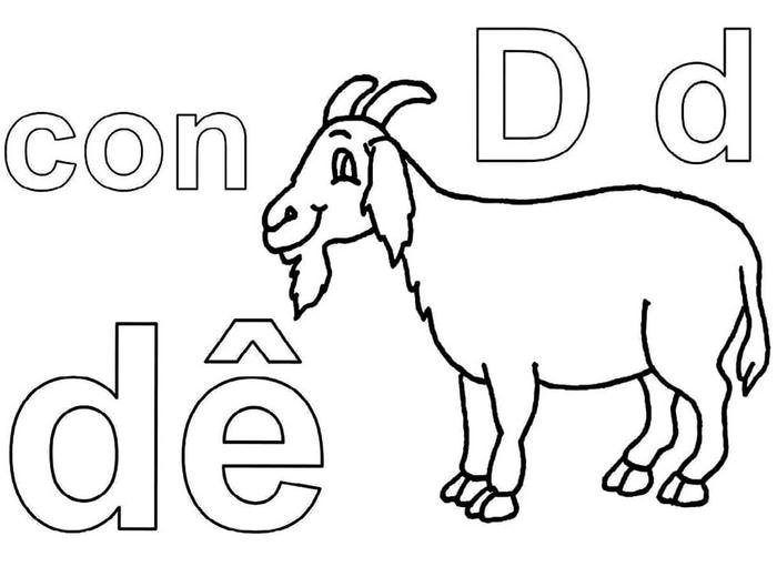 ảnh tô màu chữ cái D