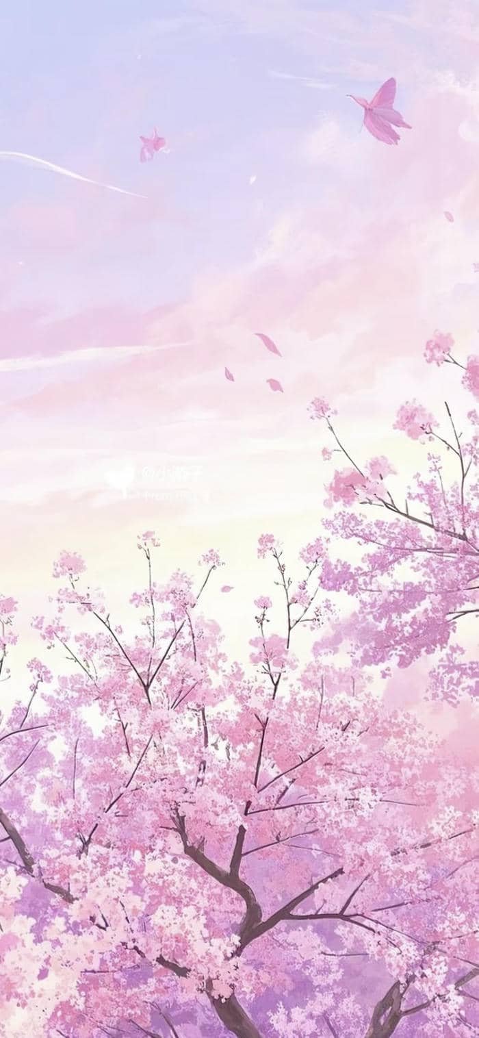 các ảnh nền hoa anh đào anime nghệ thuật