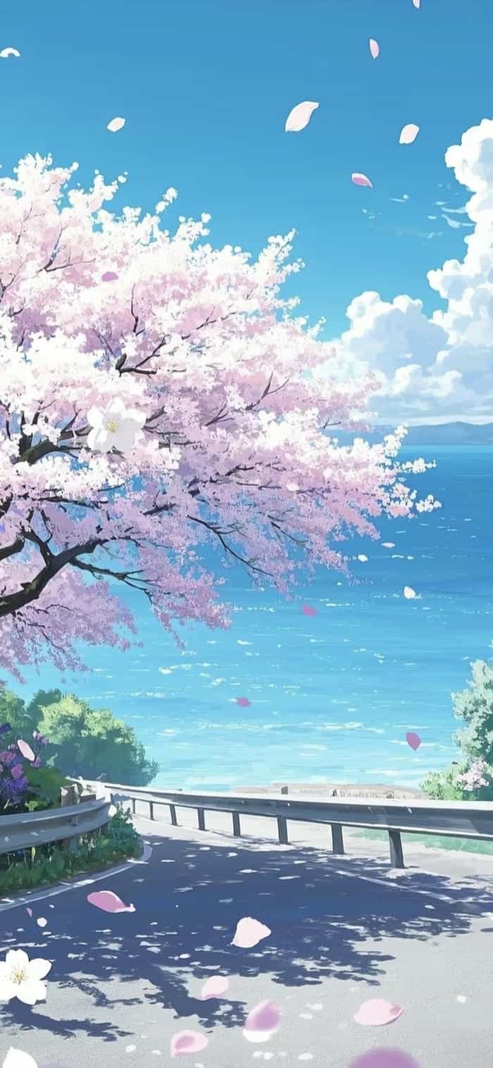 các hình nền anime hoa anh đào thiên nhiên