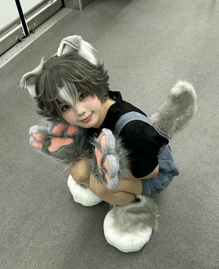 gọn gàng cosplay cute