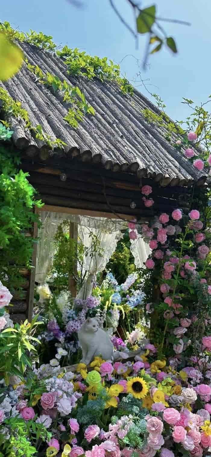 hình nền vườn hoa chill