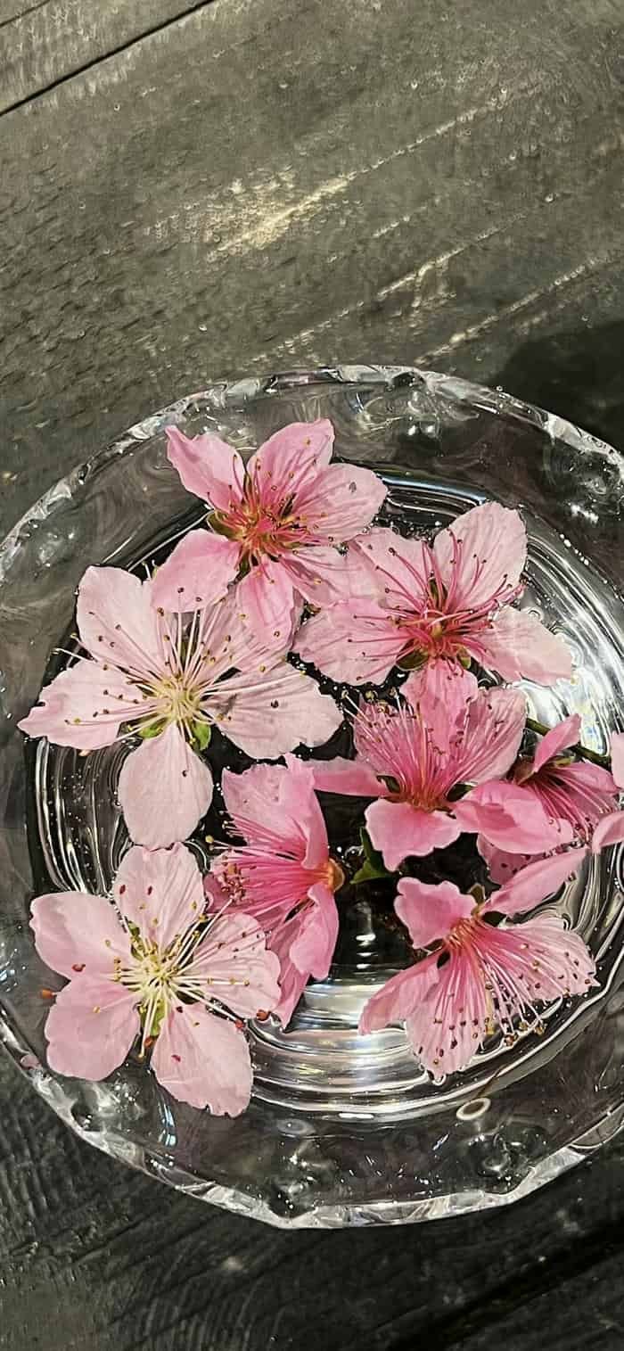 những hình nền hoa nền trang trí