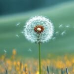 hình nền hoa bồ công anh vintage