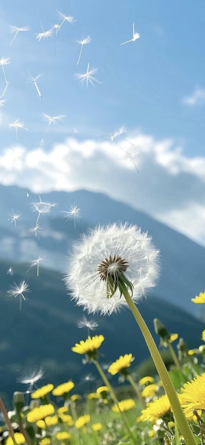 nền hoa bồ công anh nghệ thuật